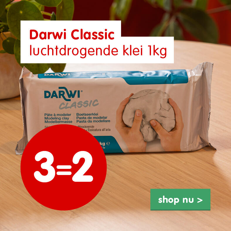 Aanbieding sinterklaas